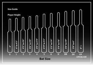 how to choose a cricket bat, Cricvision