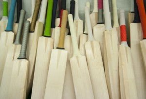 what makes a good cricket bat